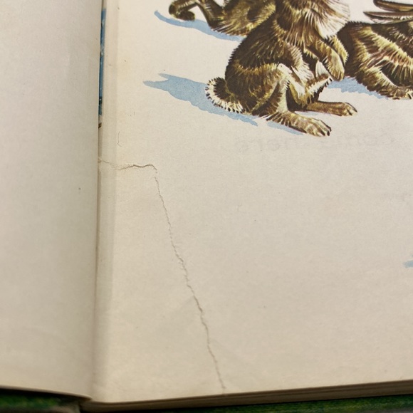 Come Along With Me School Reader 1960 Hardcover Vintage - Picture 7 of 16